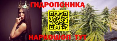 СК Апшеронск