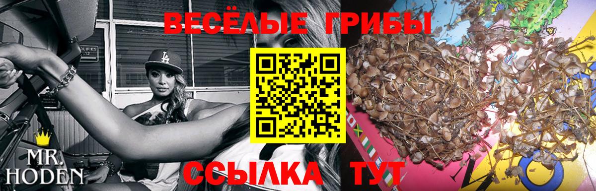 Галлюциногенные грибы мухоморы Вязьма